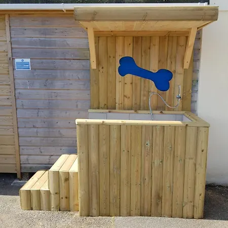 Tatil parkı Newquay Bay New Quay
