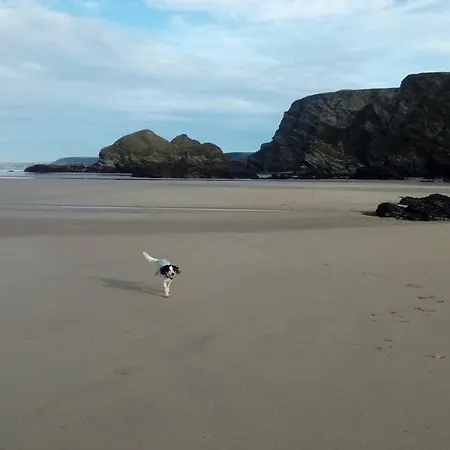 Newquay Bay Ferienpark 2*